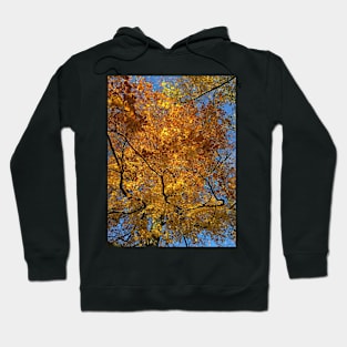 Autumn Hoodie